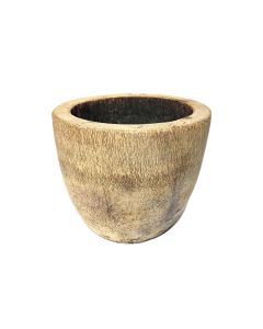 Badang Palm Pot 30cm