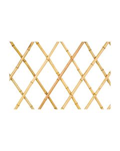 Bamboo Extensible Trellis Large Cane VX5274