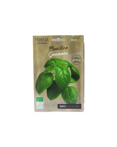 Basil Seeds - Organic