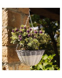 Basket Bianco Girgio