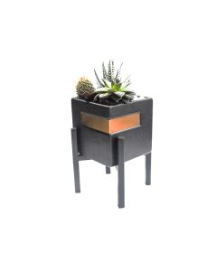Succulent Mix Arrangement in Black Square Pot with Stand