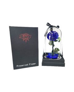Valentine's Day Special Single Preserved Rose- Blue with Dome