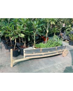 Potted Plants in Wooden Boat Planter