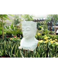 Buddha Head Flower Pot Big
