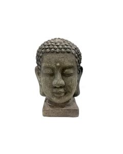Buddha head