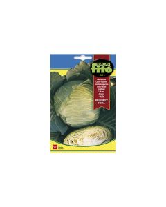 Cabbage Brunswick - Tenta Seeds
