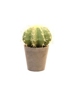 Artificial Cactus in Melamine Pot