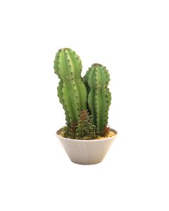 Artificial Cactus in Melamine Pot