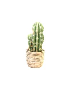 Artificial Cactus in Pot with Basket - 44cm