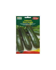 Calabacin Black Beauty Summer Squash Premium Quality Seeds