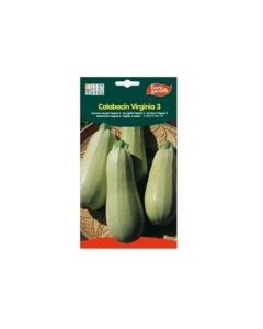 Calabacin Summer Squash Virginia Seeds