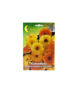 Calendula Flower Seeds