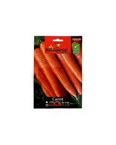 Carrot Seeds