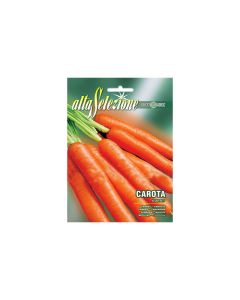 Carrot Nantes - Seeds