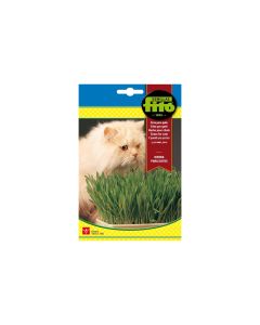 Grass for Cats - Seeds