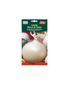 Country White Onion Seeds - Big