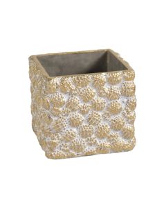 MG Chico Pinecone Cubi Gold Pot