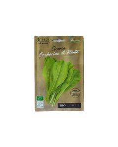 Cicoria Seeds - Organic