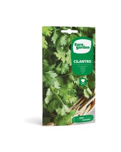 EG Coriander Seeds