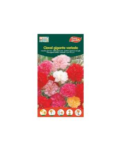 EG Carnation Giant Mix Seeds
