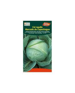 EG Cabbage Seeds