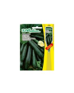 Courgette "Black Beauty"
