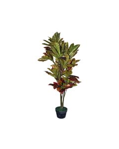 Artificial Croton