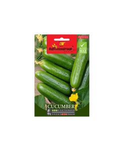 Cucumber Seeds