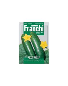 MT Franchi Cucumber - Seeds