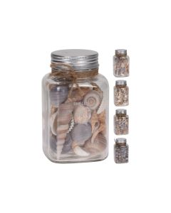 KI Shells in Glass Jar 4 asst