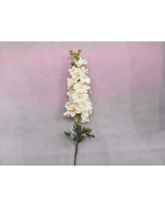 Delphinium Single Yellow