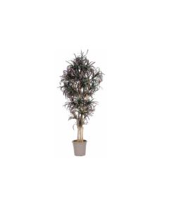 VV Artificial Dracena Yucca