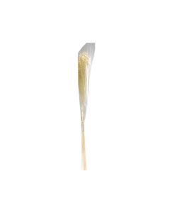 Dried Flowers Dried Grass Natural - Decor
