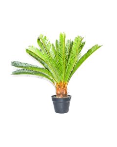 Artificial Cycas Plant - H70cm