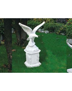 IP Eagle Medium