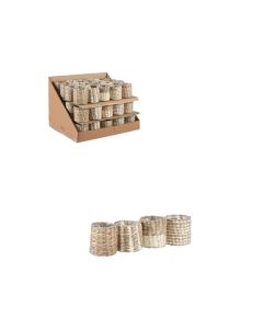 ED Alexia Pot Round 4 Assorted H7cm