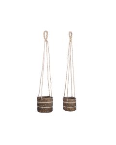 ED Celestial Hanging Basket Small