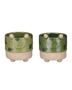 ED Frog Pot Green 2 Assorted D12cm