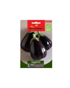 Eggplant Seeds
