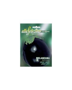 Eggplant 'Black Beauty" Seeds