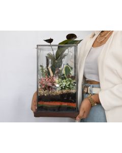 Enchanted Forest Terrarium