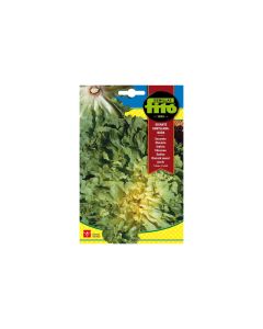 Endive Lettuce