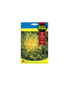Endive Curved Lettuce