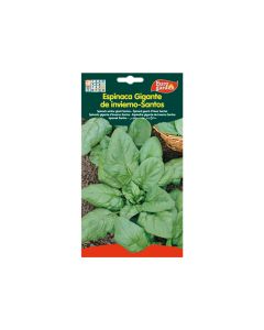 EG Spinach Seeds