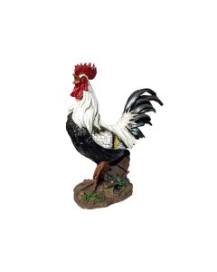 Farmers Rooster Big