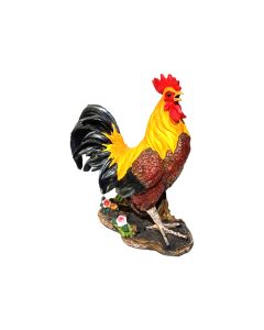 Farmers Rooster Morning