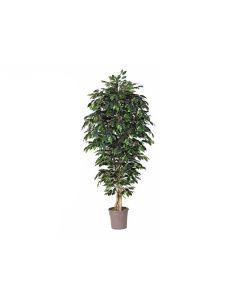 VV Artificial Ficus Green - 200 cm