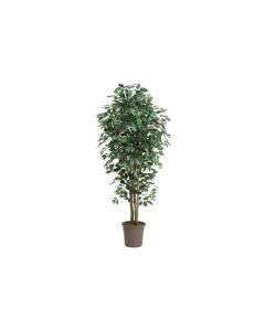 VV Artificial Ficus Varigated - 175 cm