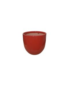 Orchid Planter Red