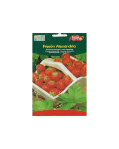 EG Strawberry seeds